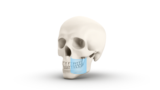 DEXIS OP 3D Pro