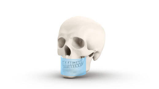 DEXIS OP 3D Pro