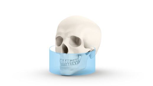 DEXIS OP 3D Pro